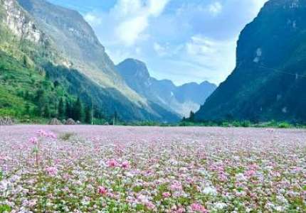 Hà Giang mùa nào đẹp? Gợi ý theo từng thời điểm trong năm